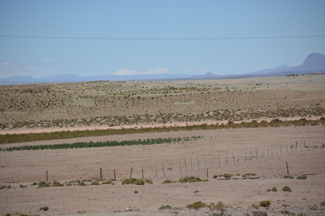 Стресирано от сушата поле с киноа в Боливия. Промяната в климата ще засегне най-тежко най-бедните